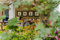 PheZulu Restaurant gallery image 1