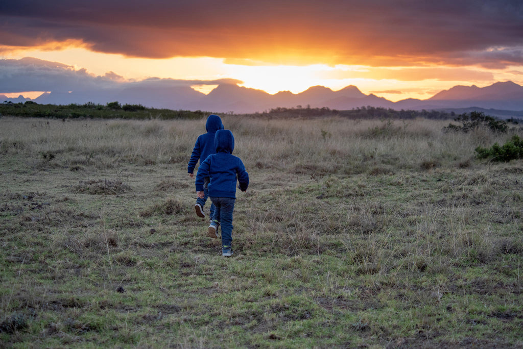 Junior Ranger Programme gallery image 7