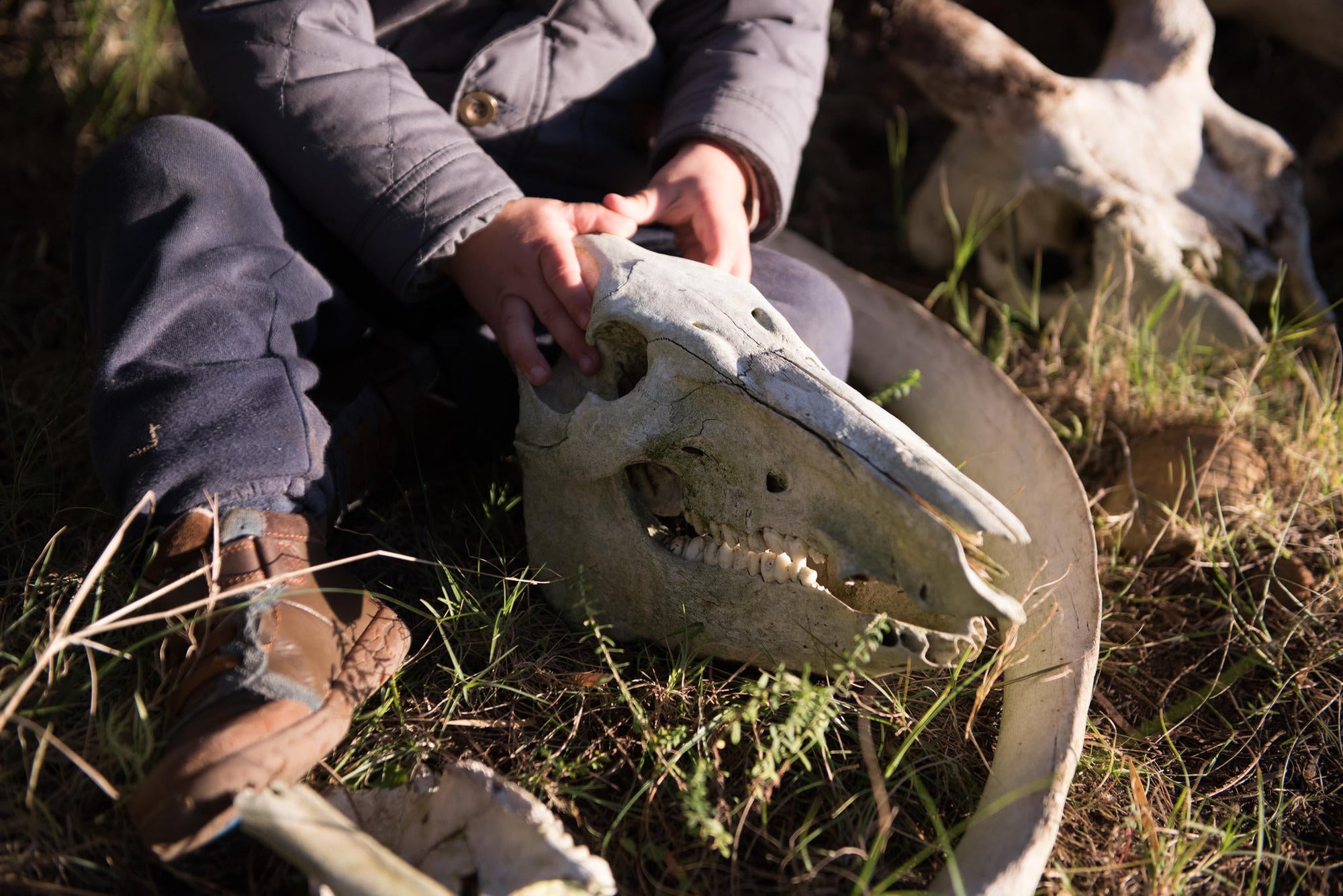 Junior Ranger Programme gallery image 6