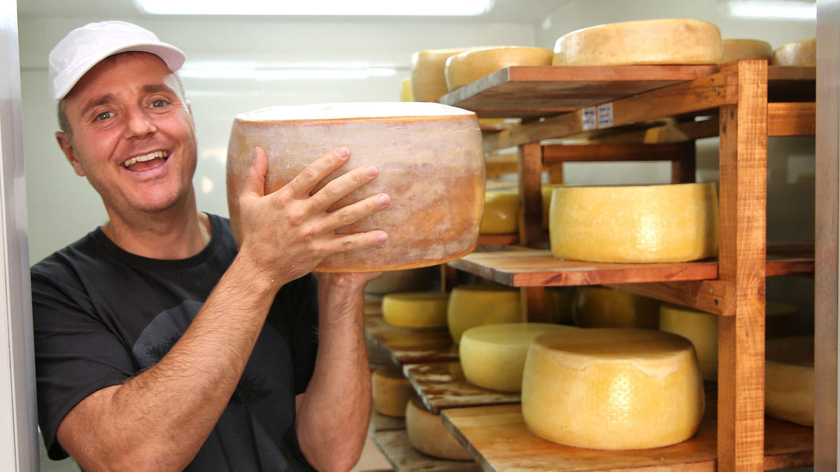 Cheese Factory tour