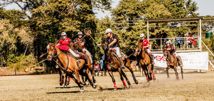 Chundukwa Horse Trails gallery image 16
