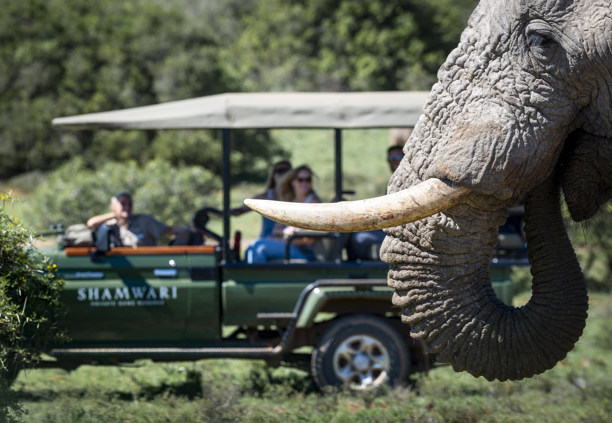 Game Drives gallery image 2