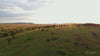 singita-sabora-tented-camp hero