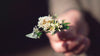 Hero video for babylonstoren-farm-hotel
