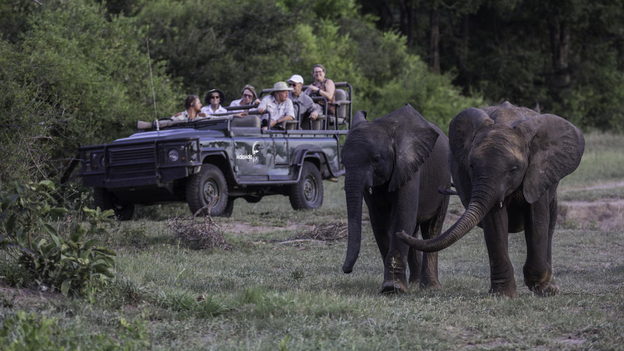 Game Drives gallery image 21