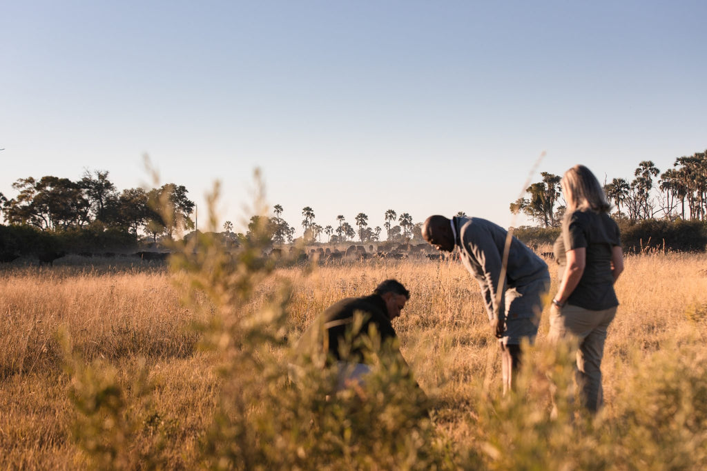 Wilderness Qorokwe – Guided Nature Walks *