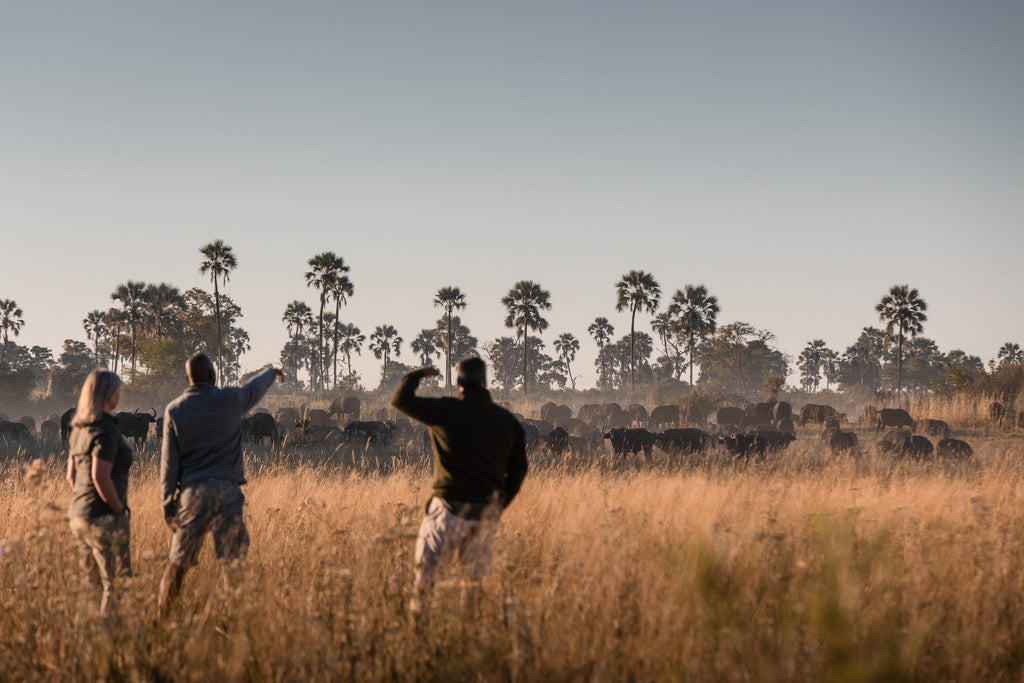 Wilderness Qorokwe – Guided Nature Walks *