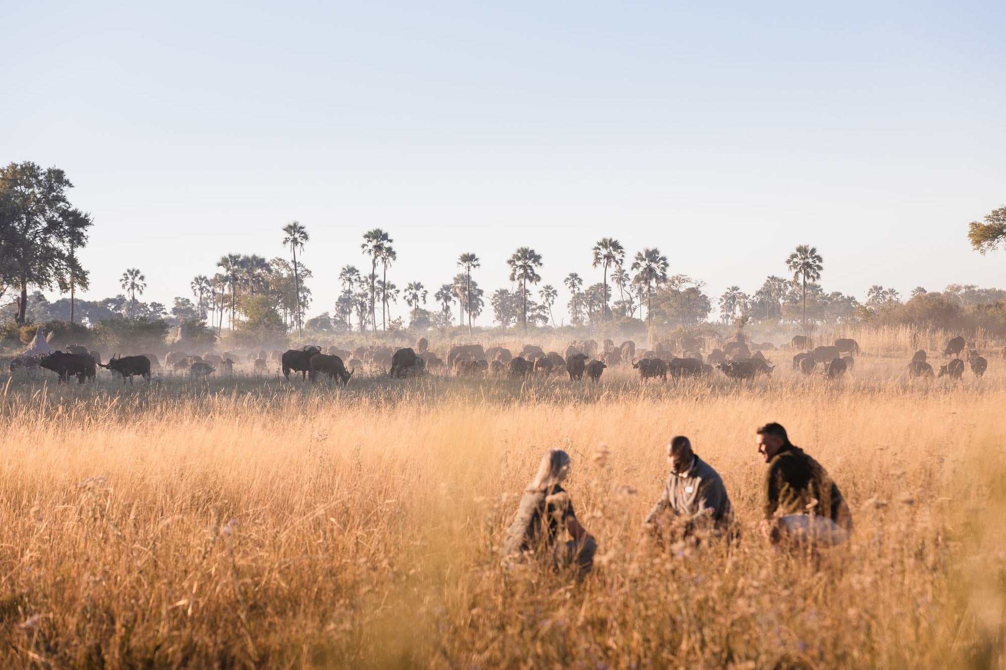 Wilderness Qorokwe – Guided Nature Walks *