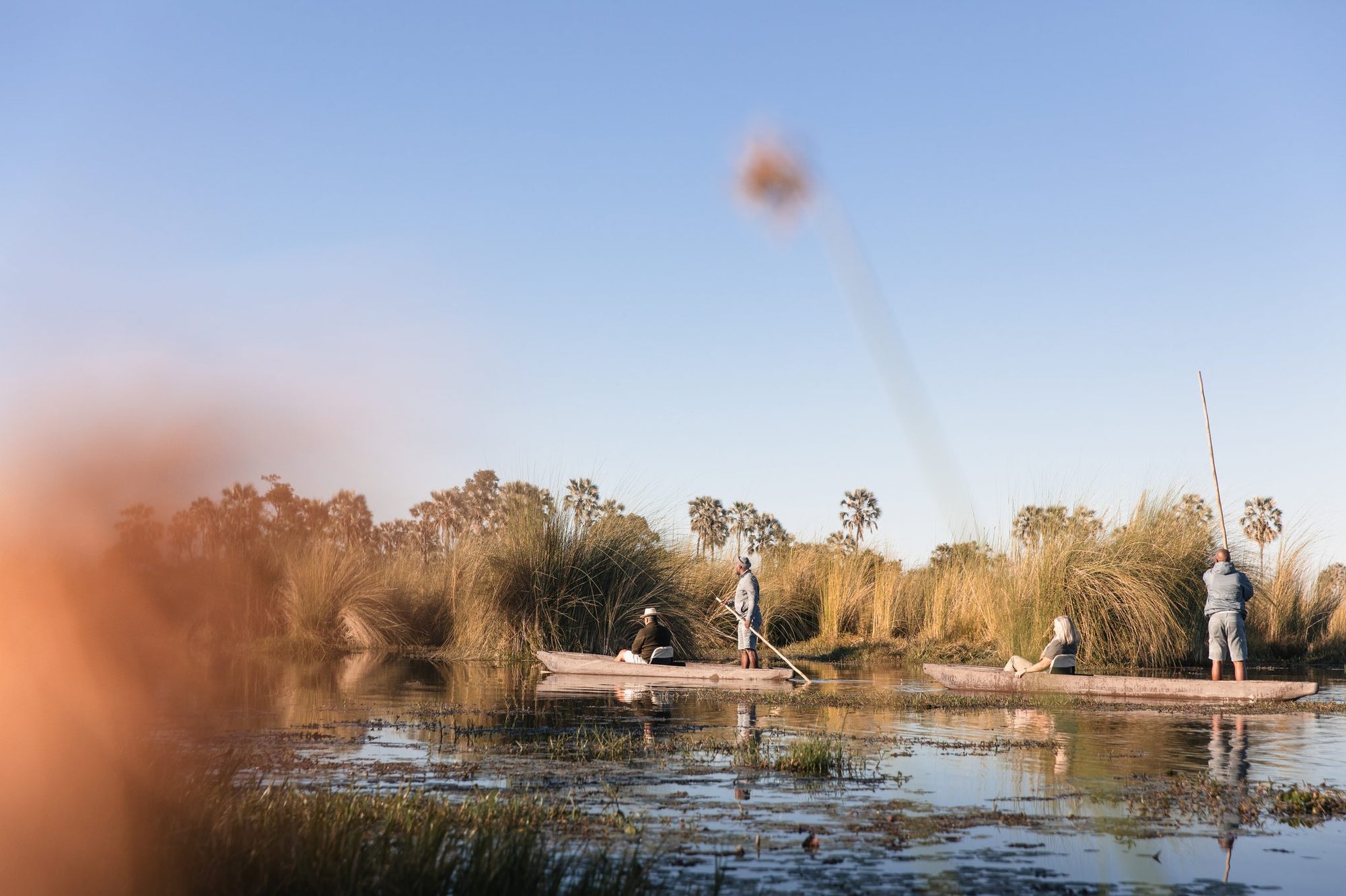 Wilderness Qorokwe – Mokoro Excursions *