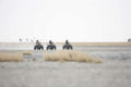 Quad Biking (seasonal activity) gallery image 1