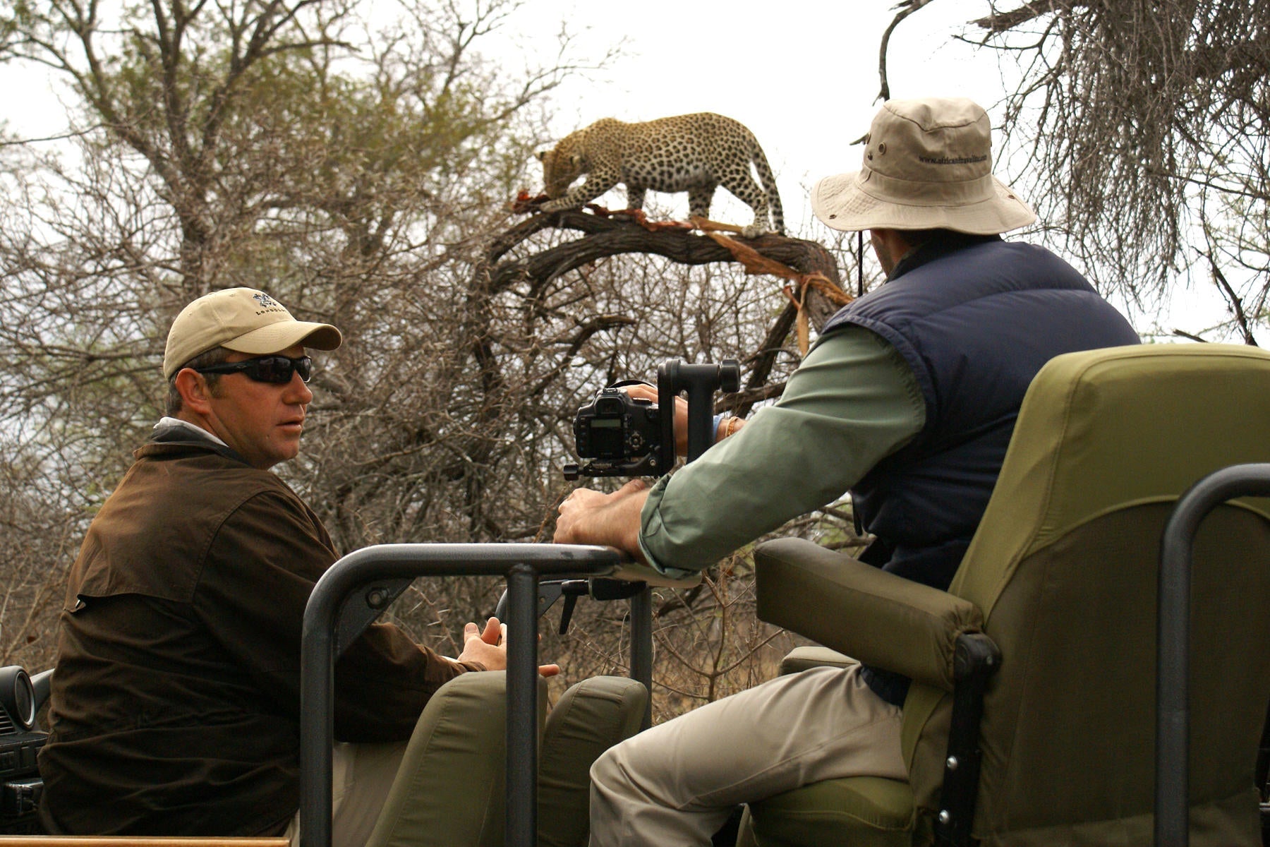 Londolozi Photoragphic Safari gallery image 7