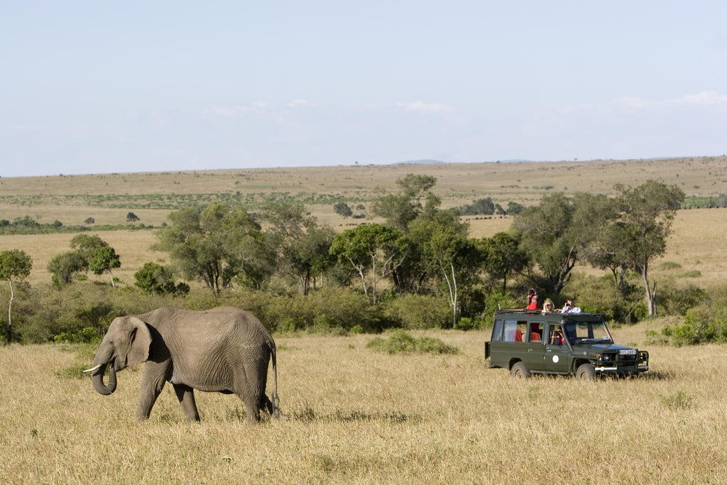 Game Drives gallery image 4