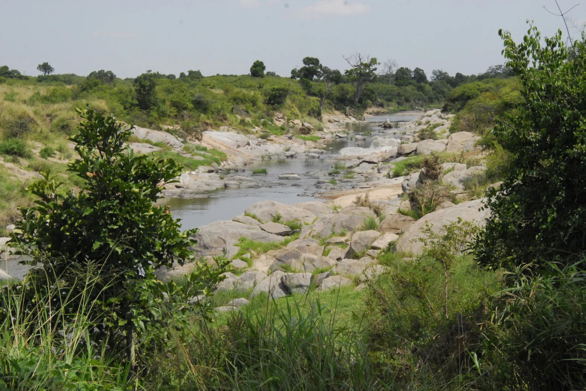 Rekero Camp - Talek River Scenery at Rekero, Masai Mara National Reserve, Kenya.