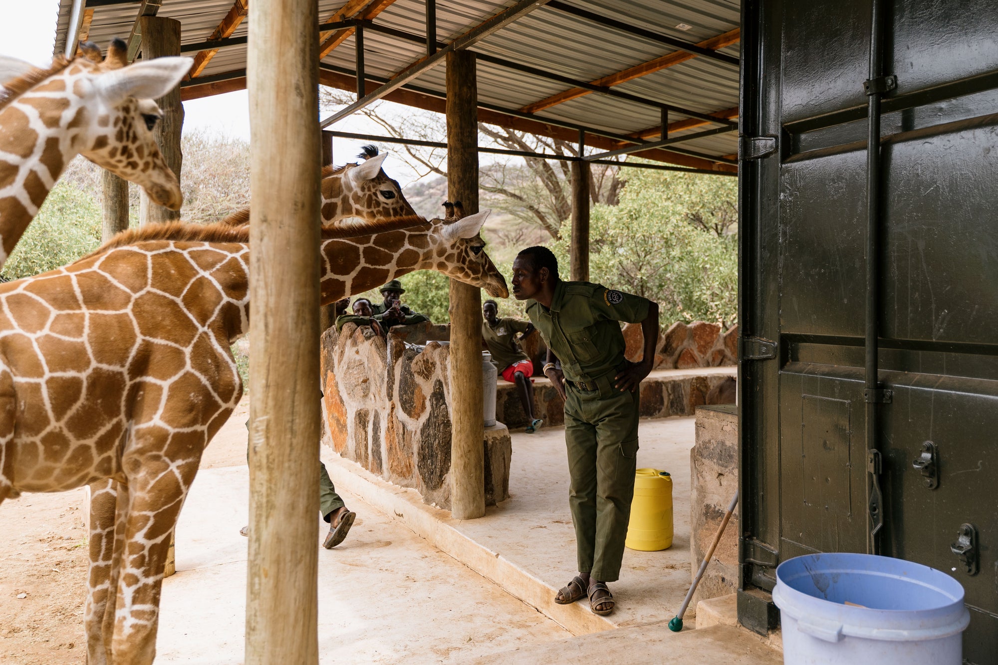 Activities at Sarara, Sarara Treehouses and Reteti House