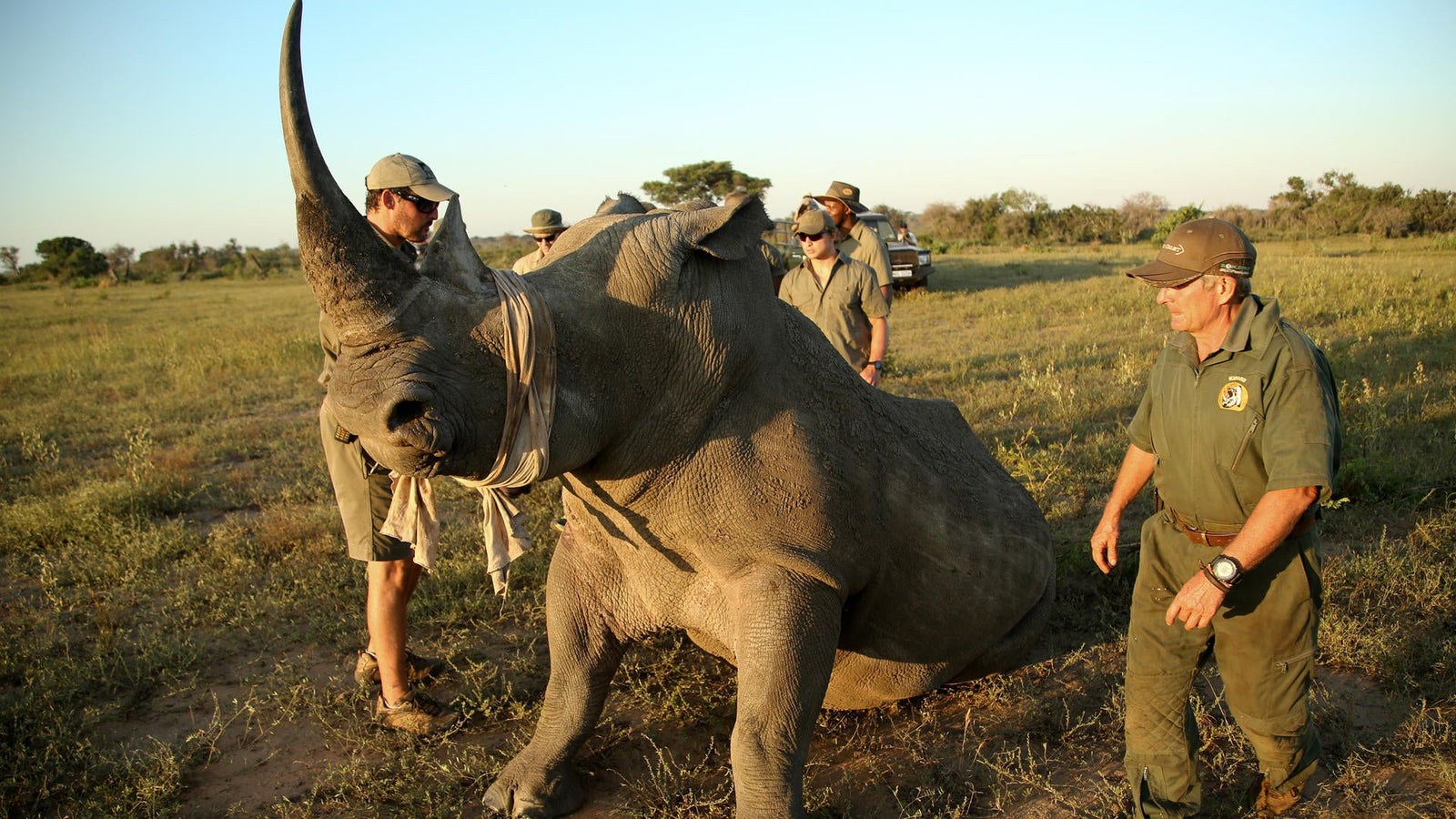 Rhino Conservation Experience (additional cost)