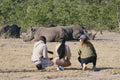 Explore the Mosi oa Tunya National Park gallery image 1