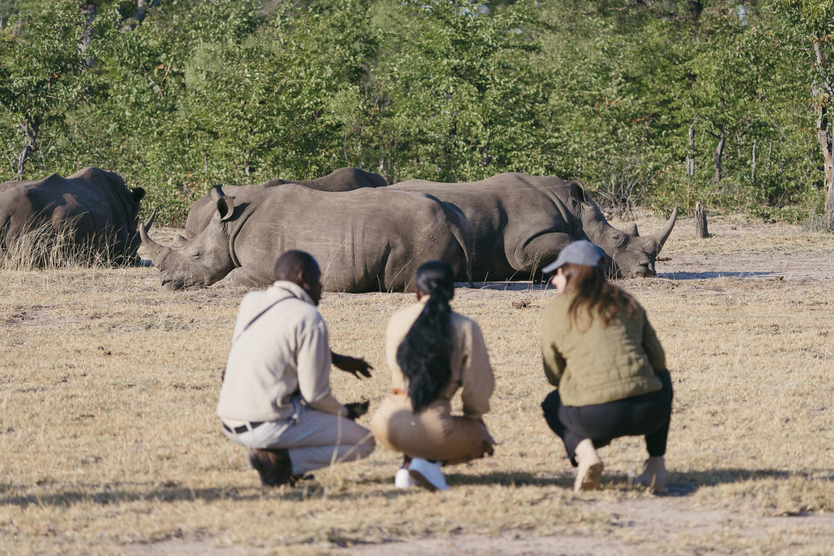 Explore the Mosi oa Tunya National Park
