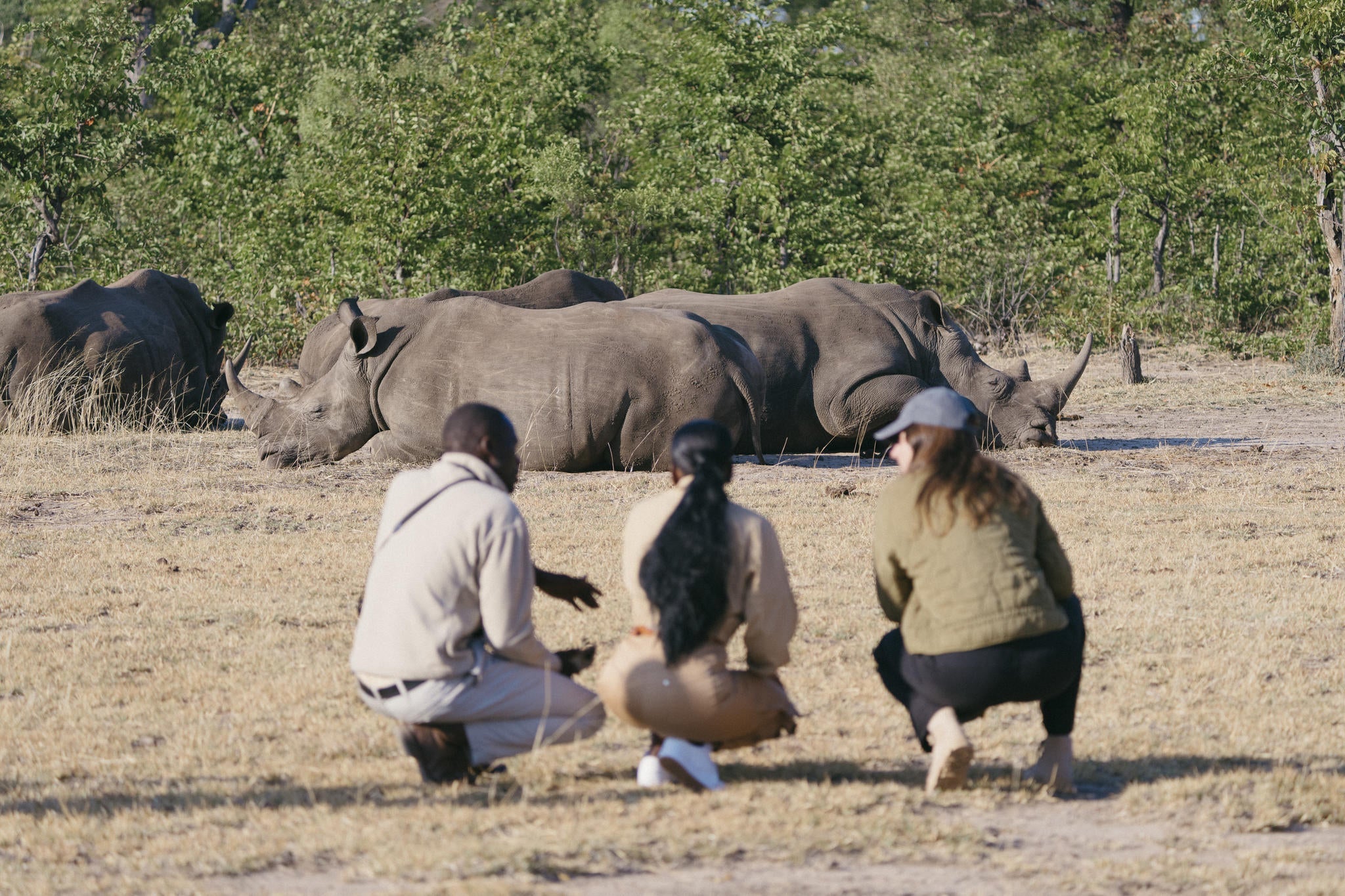 Explore the Mosi oa Tunya National Park