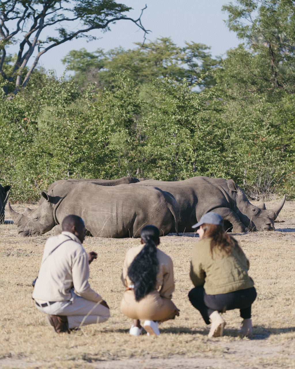Explore the Mosi oa Tunya National Park gallery image 3