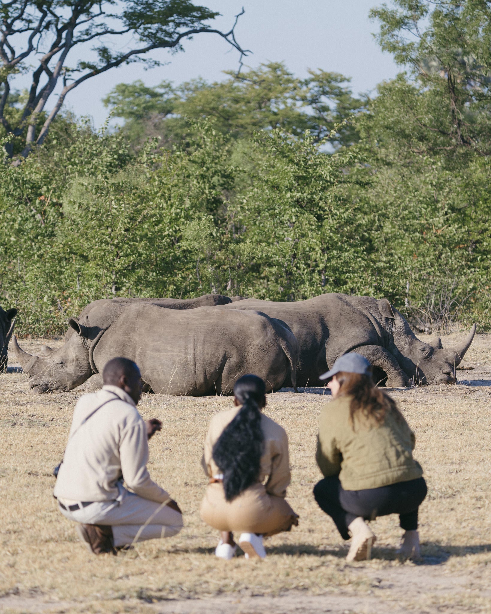 Explore the Mosi oa Tunya National Park gallery image 3