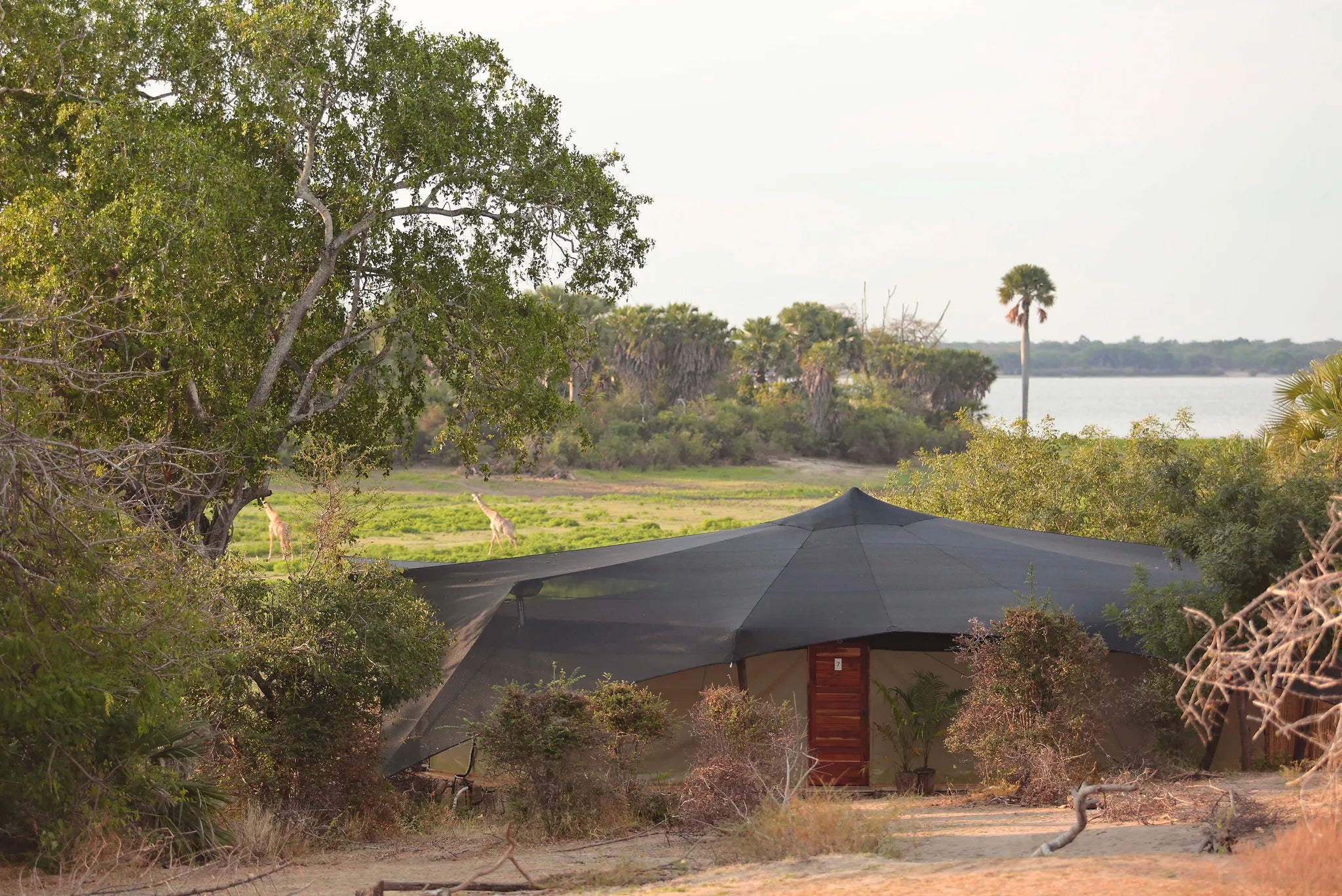 Roho ya Selous - Tent exterior at Roho Ya Selous, Nyerere National Park, Tanzania.