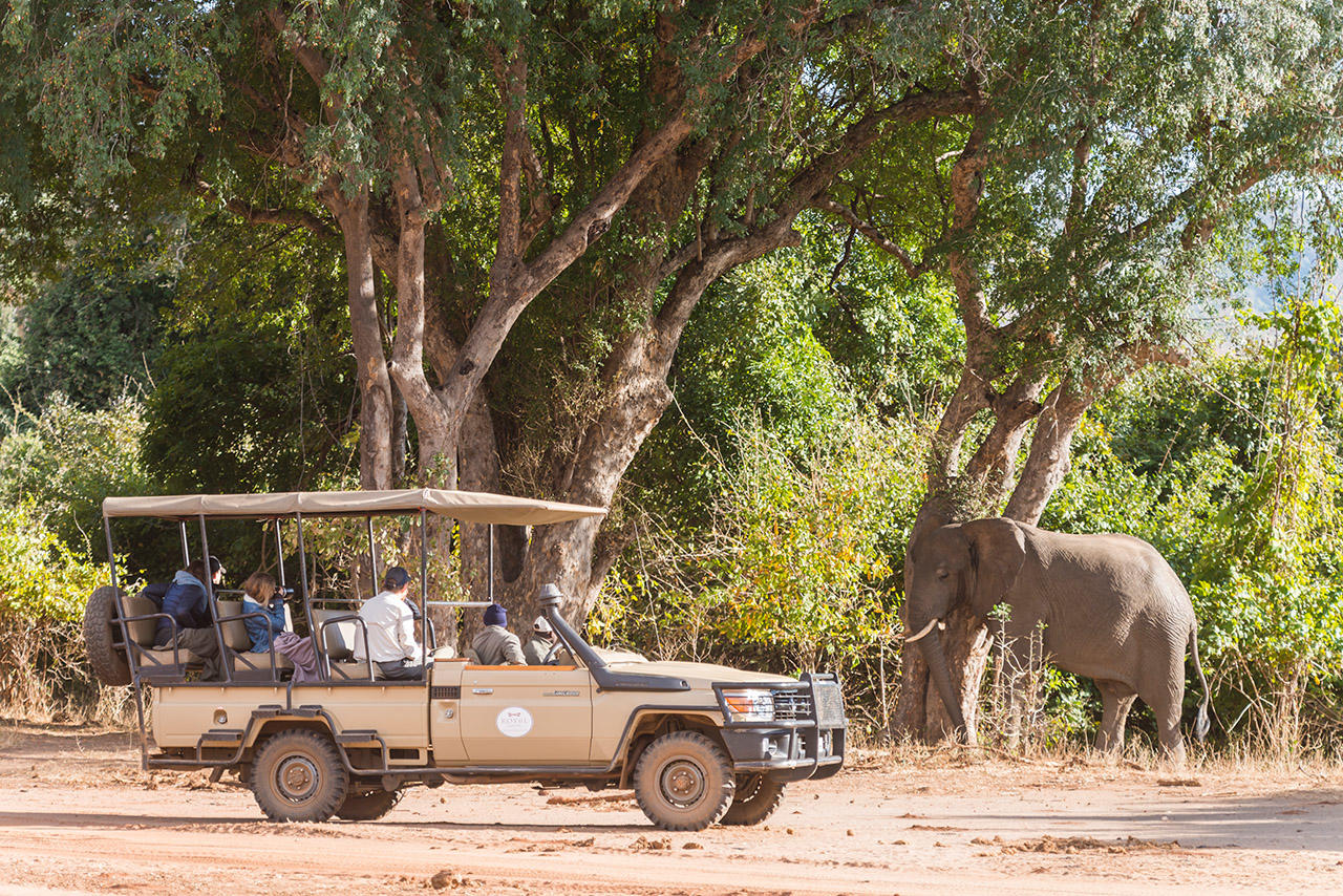 Game drives gallery image 5