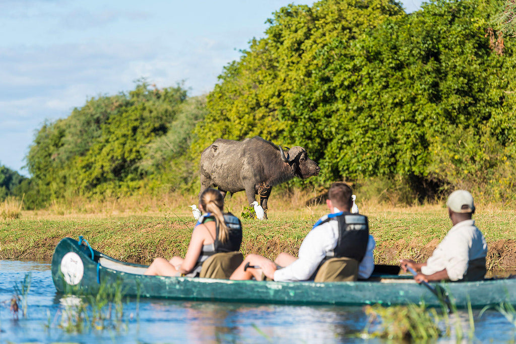 Canoeing Trips gallery image 2