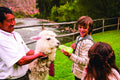 Taking care of our hotel pets.  gallery image 1
