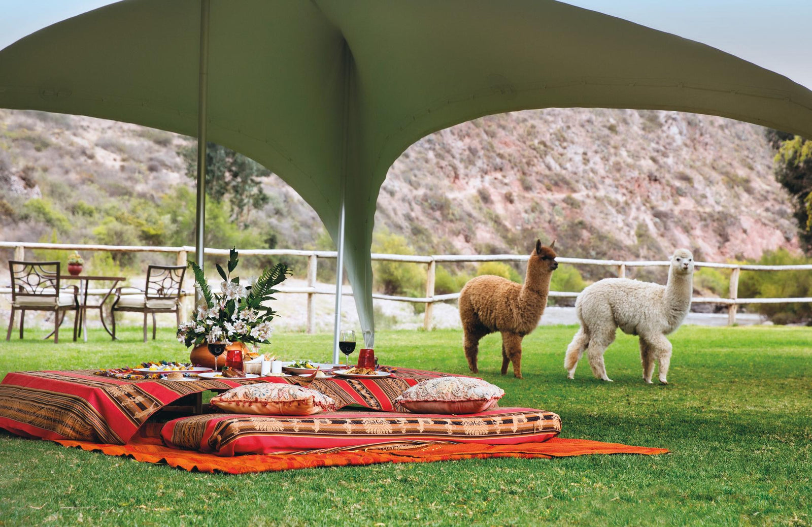 Picnic in the garden