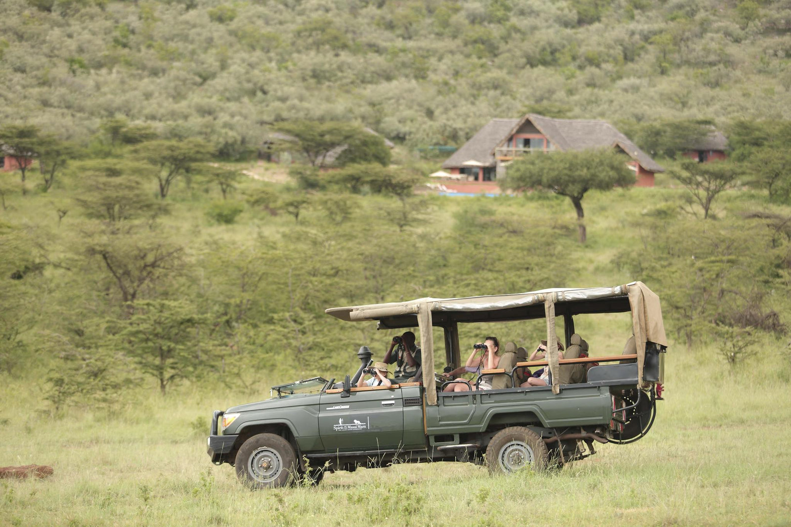 Game Drives Day / Night