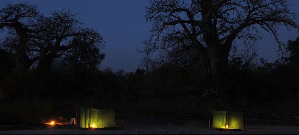 Sand Rivers Fly Camp, Nyerere National Park, Tanzania gallery image 4.