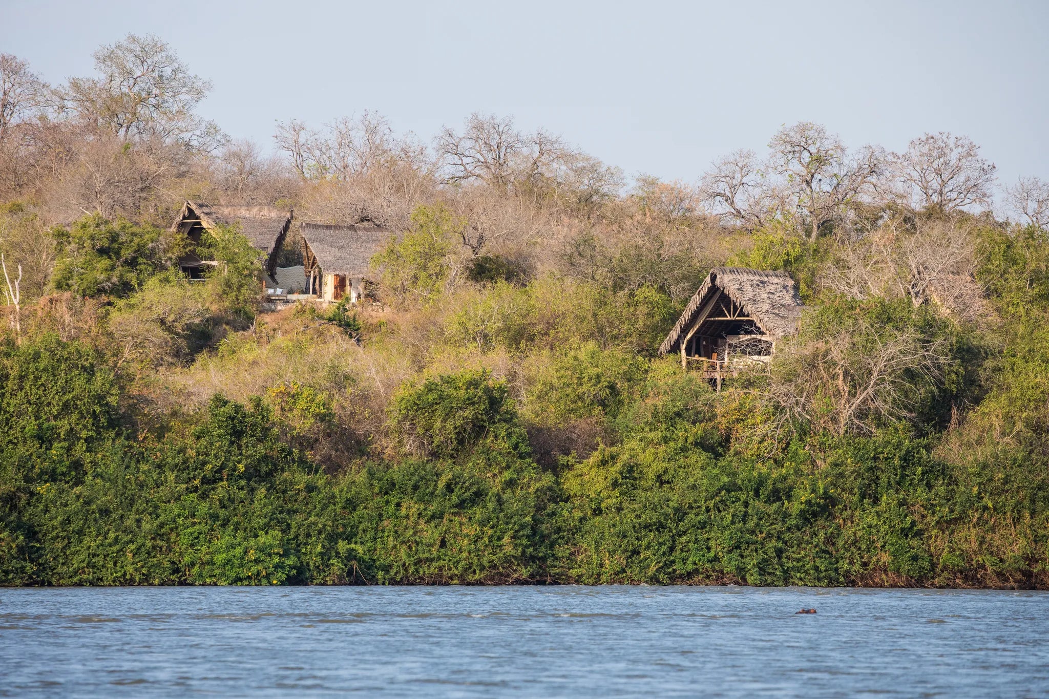 Sand Rivers Selous at Sand Rivers Selous, Nyerere National Park, Tanzania.