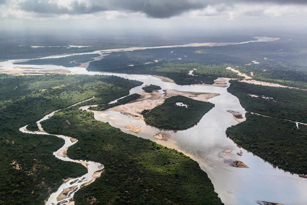 The Selous at Sand Rivers Selous, Nyerere National Park, Tanzania.