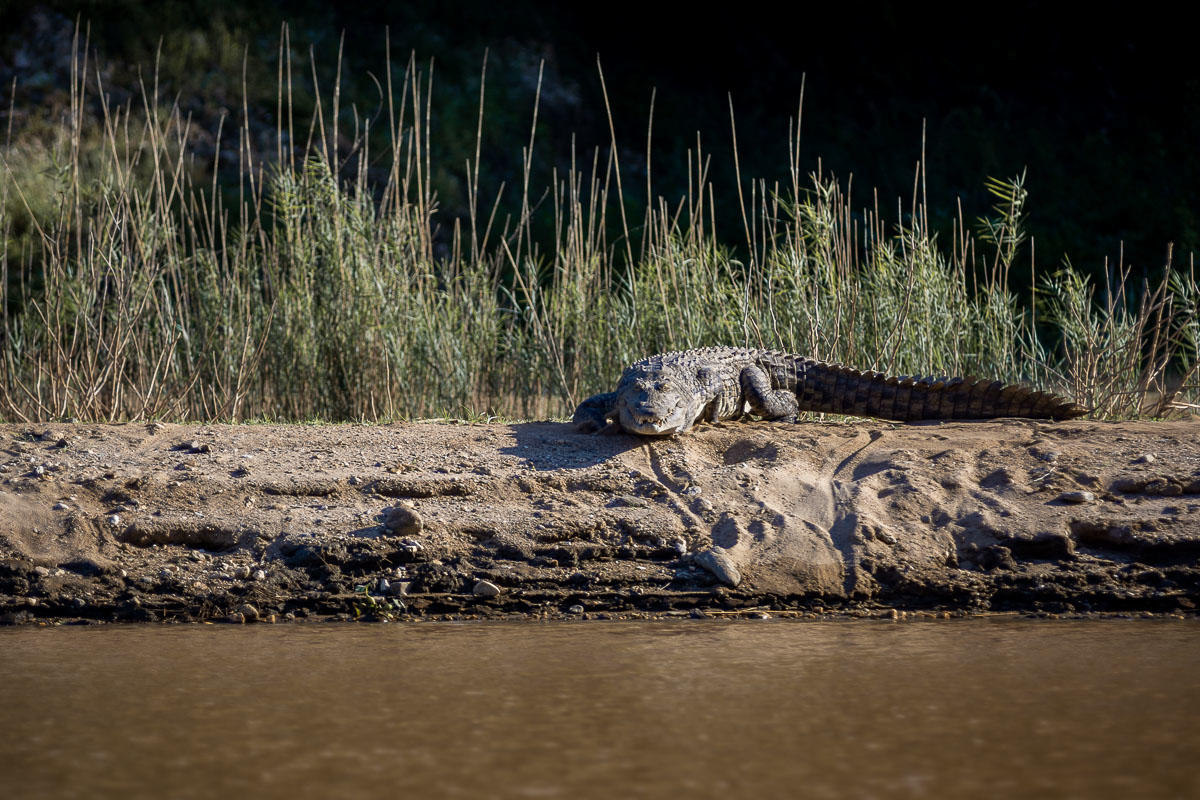 Sanyati Gorge Trips gallery image 4