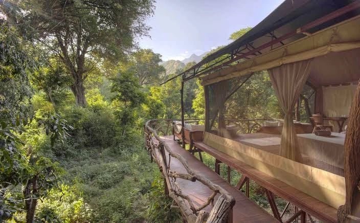 Sarara Treehouses