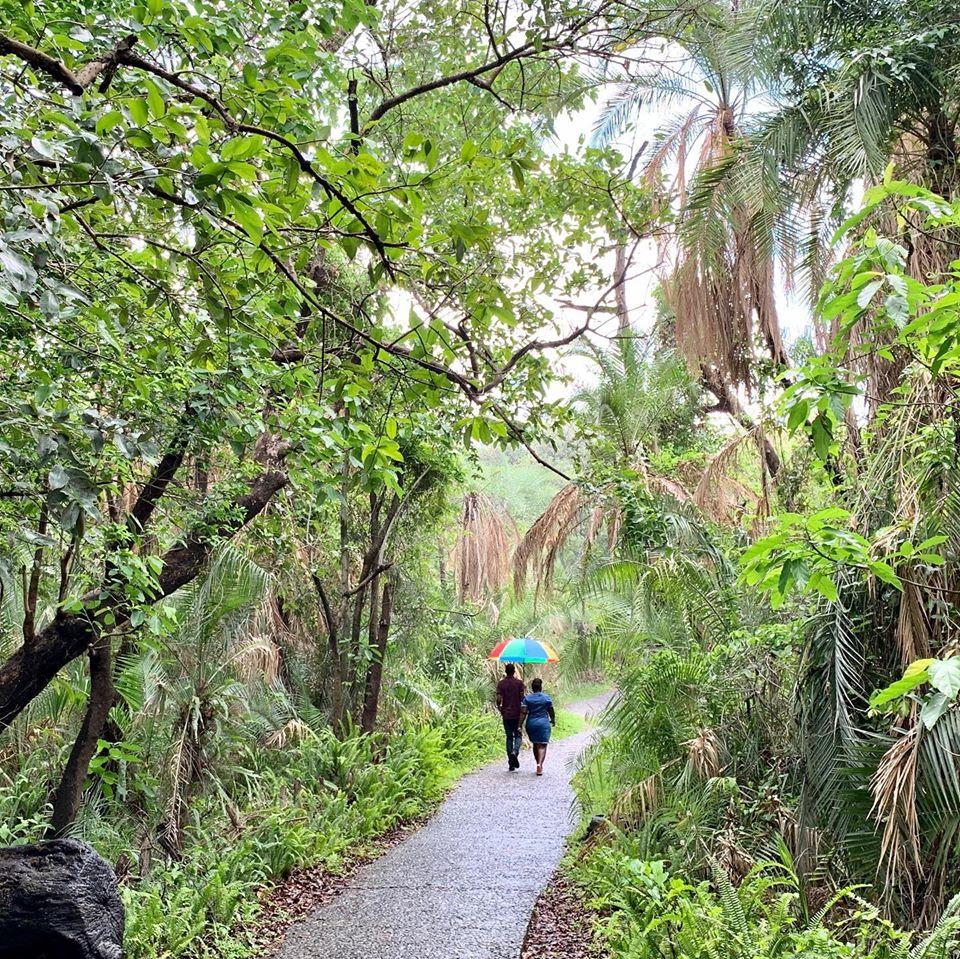 Victoria Falls Day Trip (Inclusive)