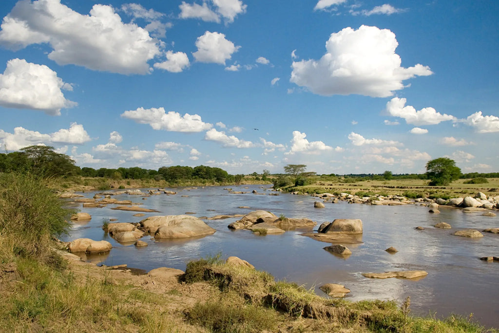 Sayari - Mara river at Sayari, Northern Serengeti, Tanzania.