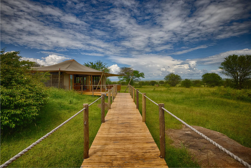 Sayari - walkway to main area at Sayari, Northern Serengeti, Tanzania.