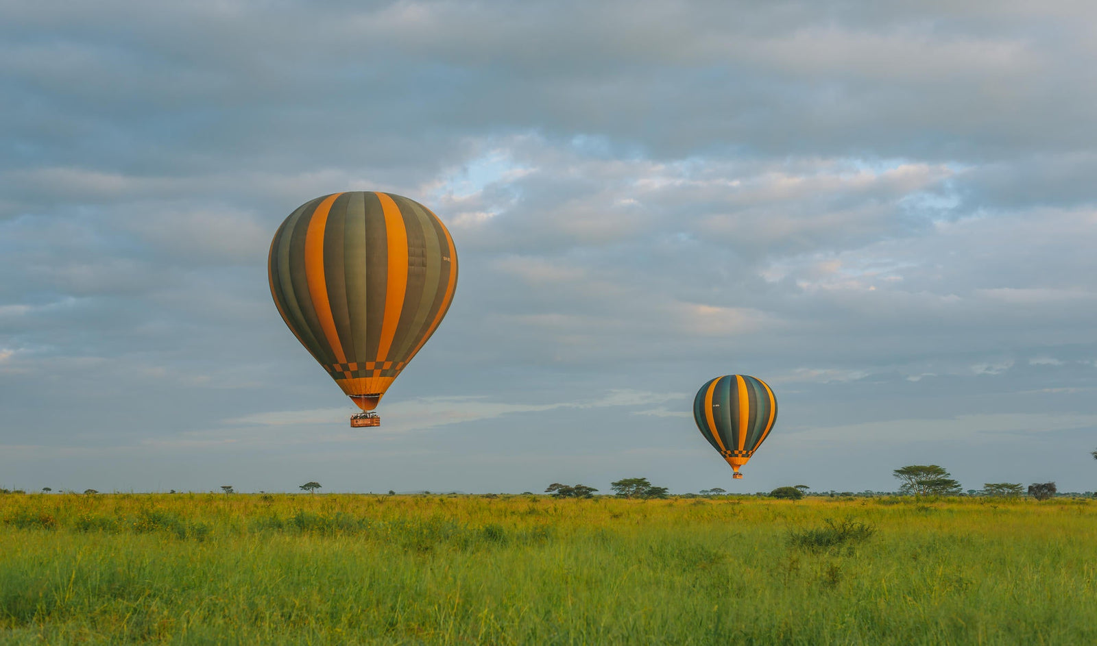 Balloon Safari