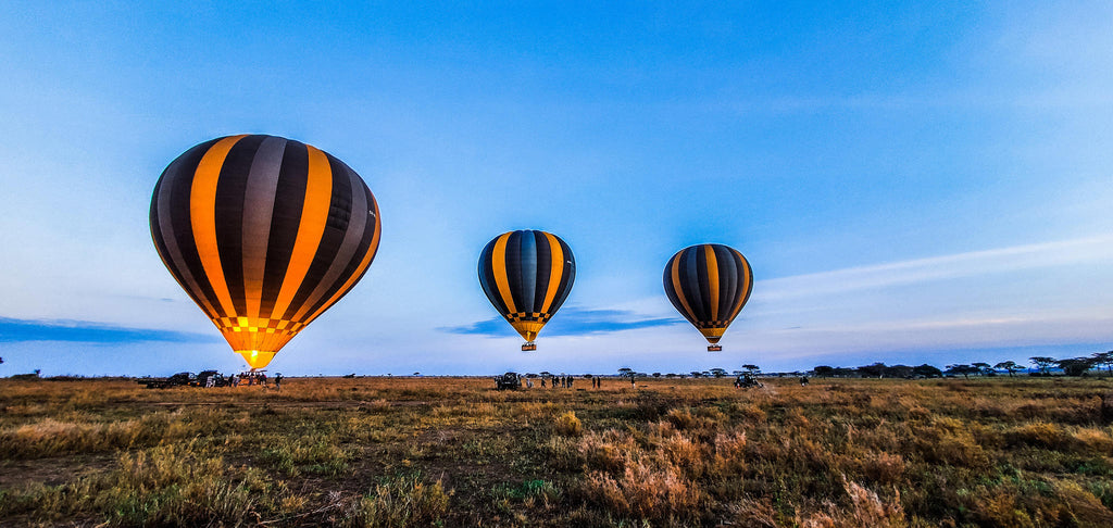 Balloon Safari gallery image 2