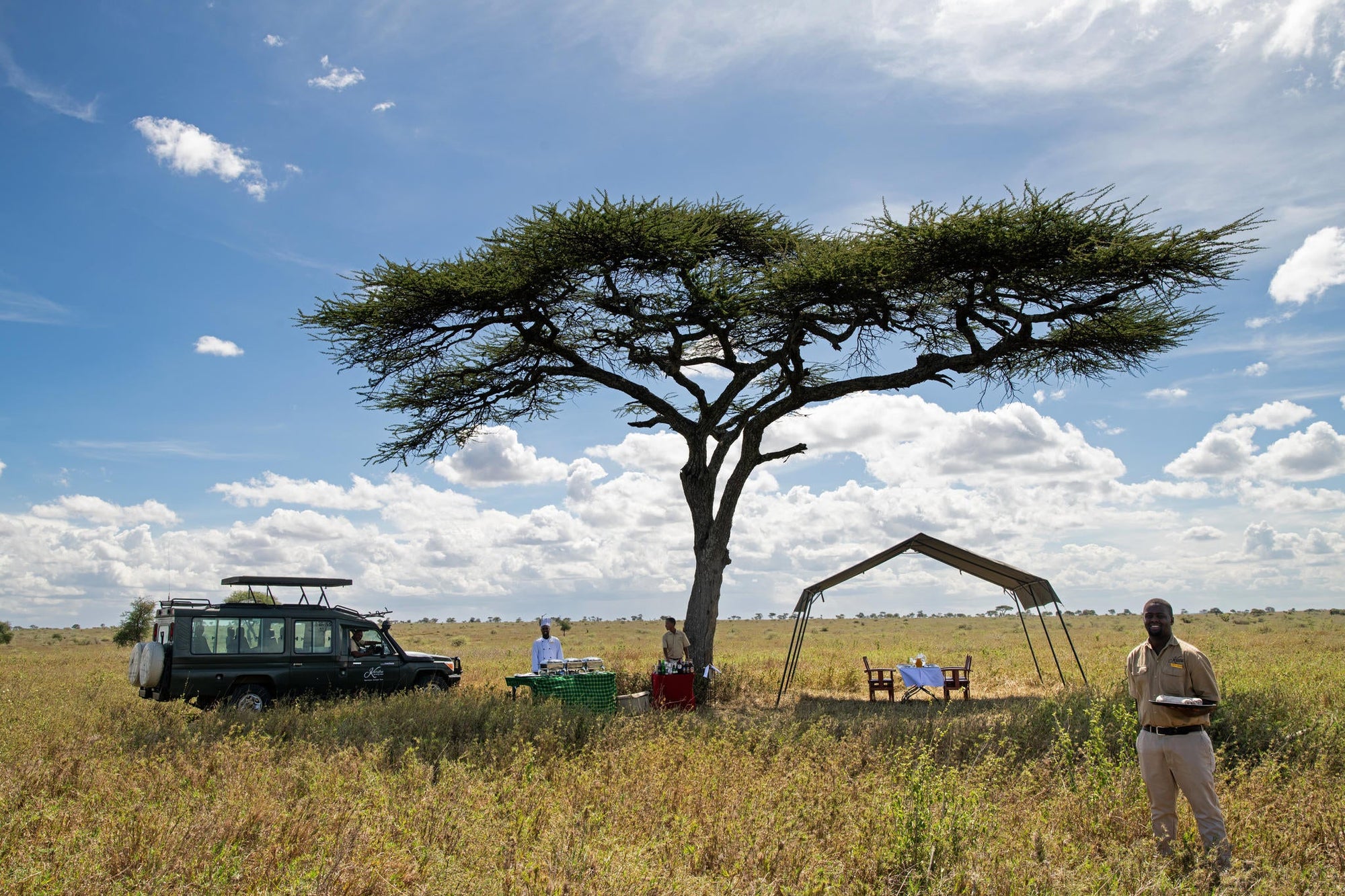 Bush Dining, Lunch or Breakfast! gallery image 4
