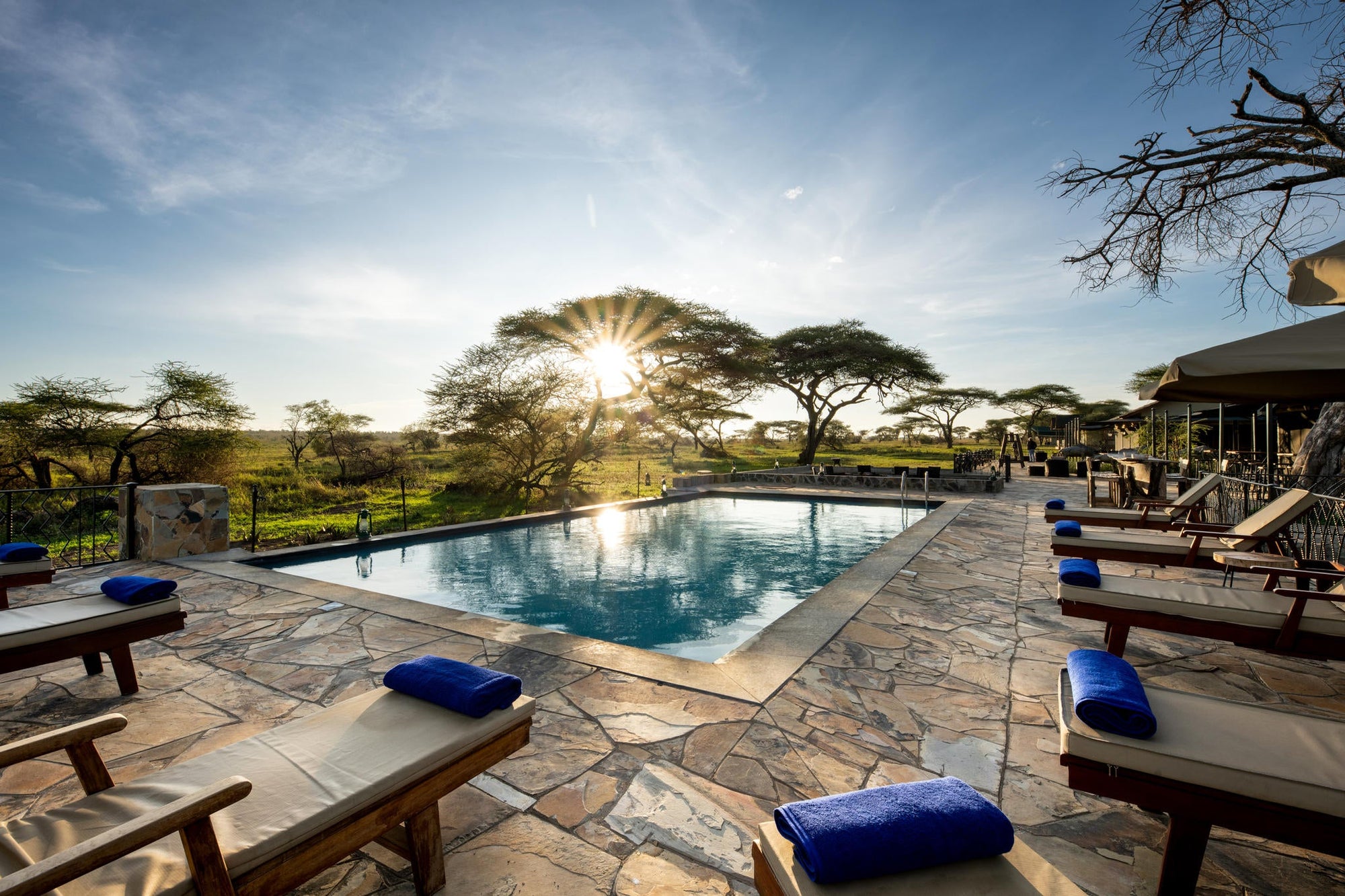Relaxing Poolside at Serengeti Sametu Camp gallery image 2