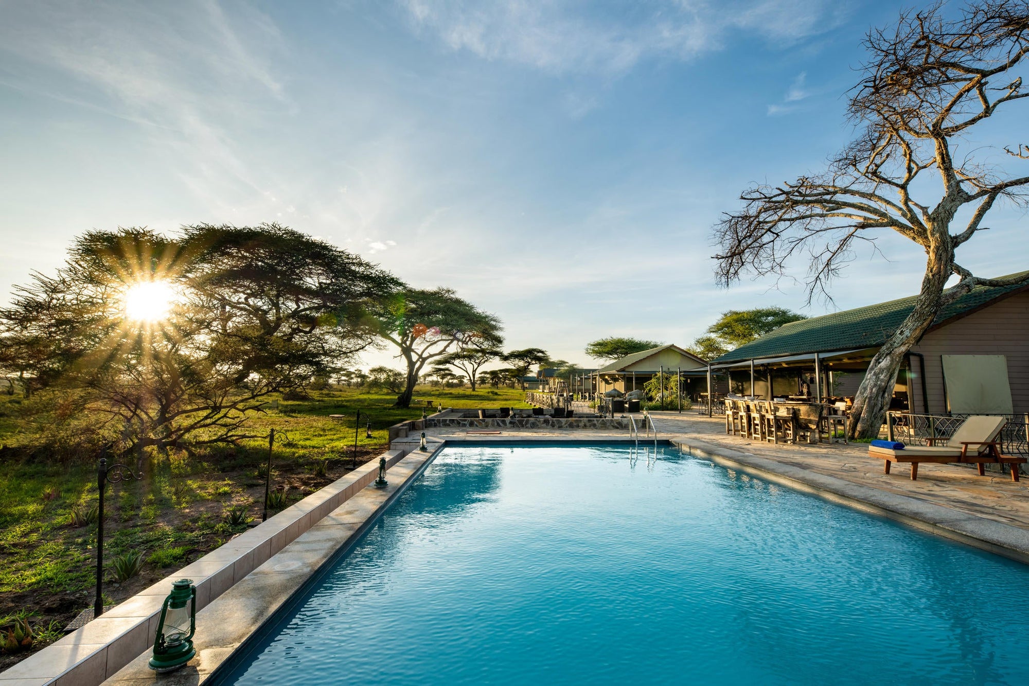 Relaxing Poolside at Serengeti Sametu Camp gallery image 3