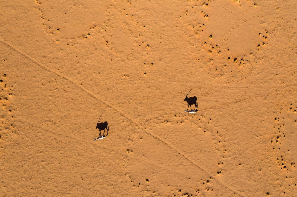 Scenic Helicopter Flight | Namib Dune Photographic Flight gallery image 5