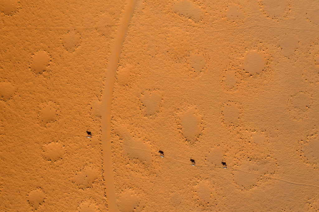 Scenic Helicopter Flight | Namib Dune Photographic Flight gallery image 6