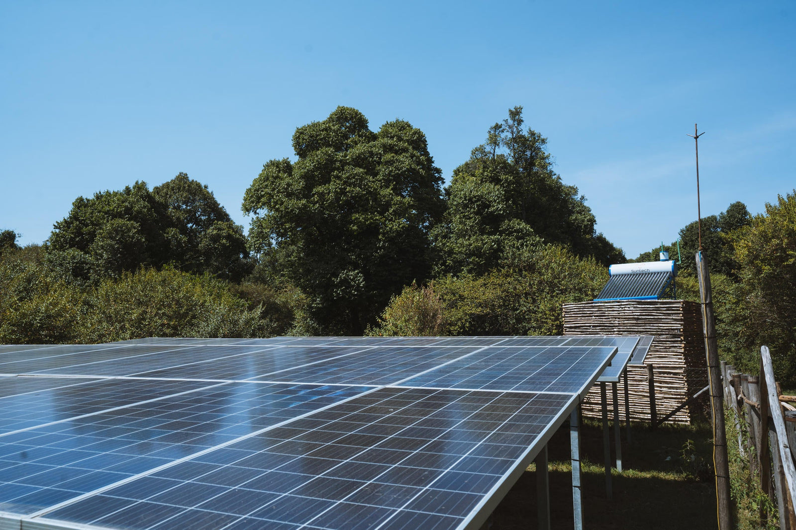 Sustainability, Effortlessly
