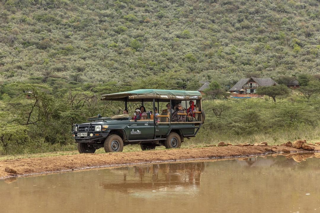 Game Drives Day / Night gallery image 7
