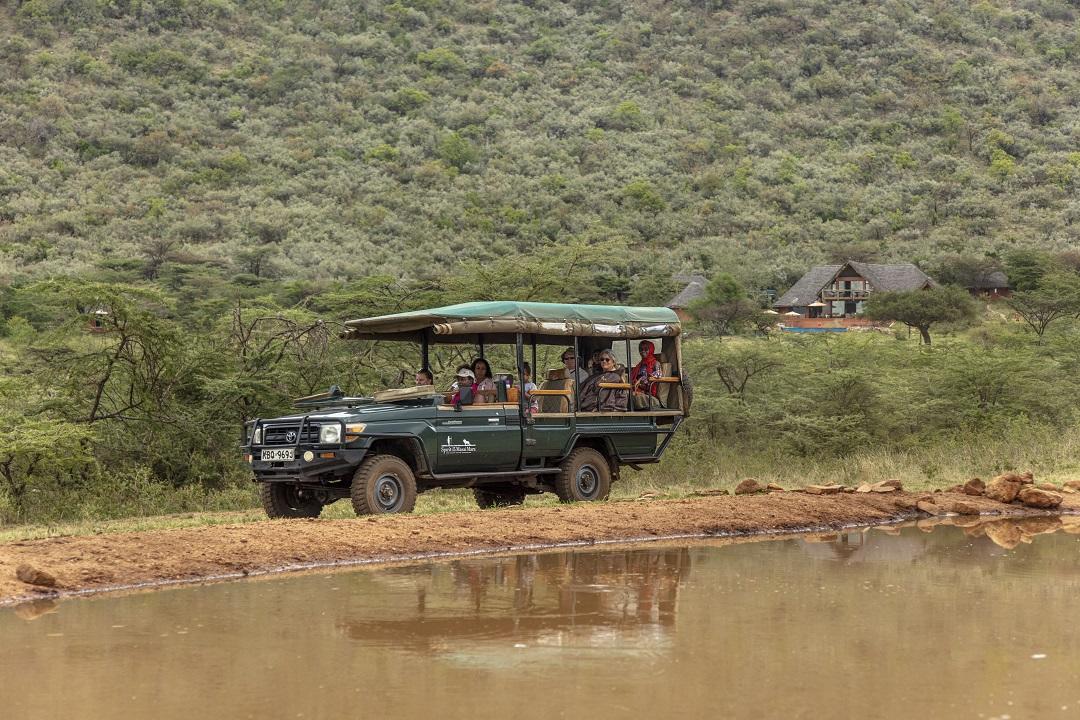 Game Drives Day / Night gallery image 7
