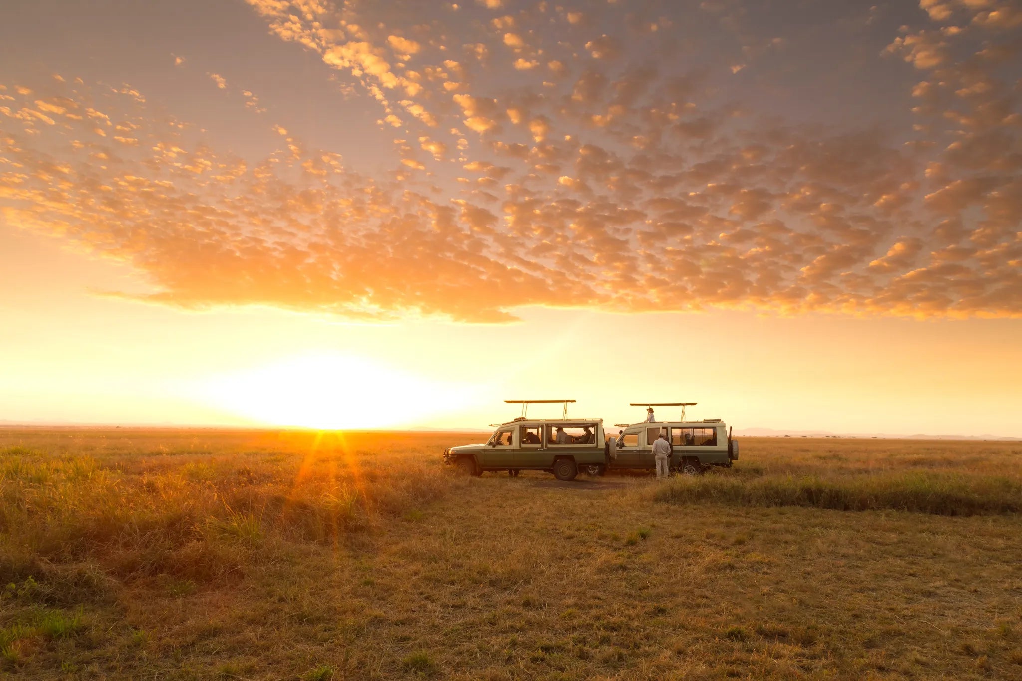 Serengeti sunrise at Serengeti Safari Camp North, Northern Serengeti, Tanzania.