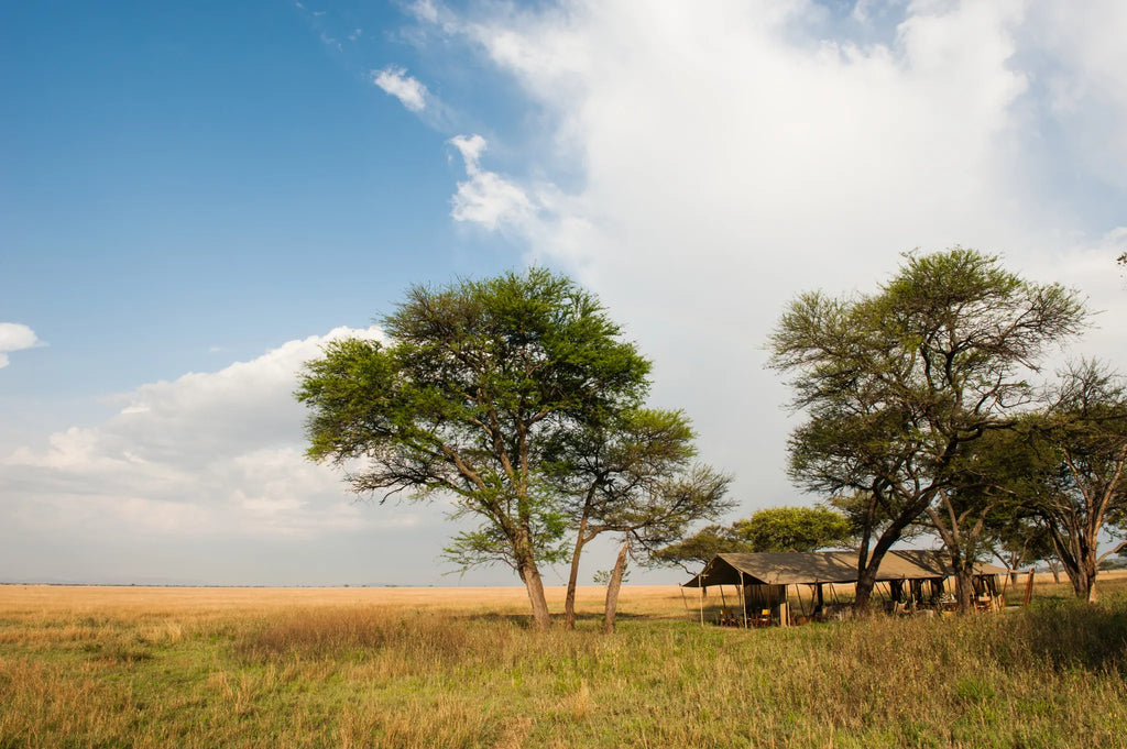 Camp at Serengeti Safari Camp West, Serengeti Western Corridor, Tanzania.